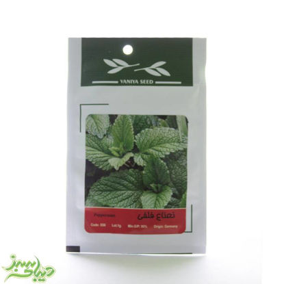 تصویر  بذر نعناع فلفلی