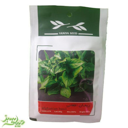 تصویر  بذر ریحان افغانی