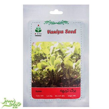 تصویر  بذر برگ تربچه