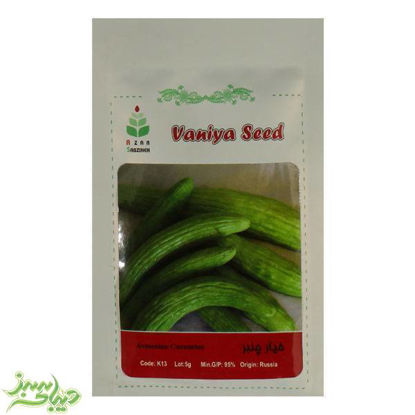 تصویر  بذر خیار چنبر