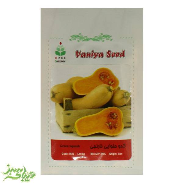 تصویر  بذر کدو حلوایی نارنجی