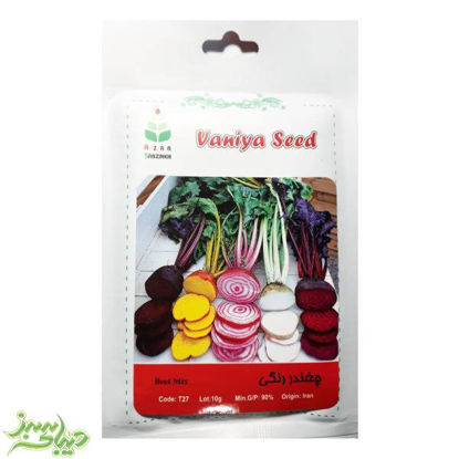 تصویر  بذر چغندر رنگی