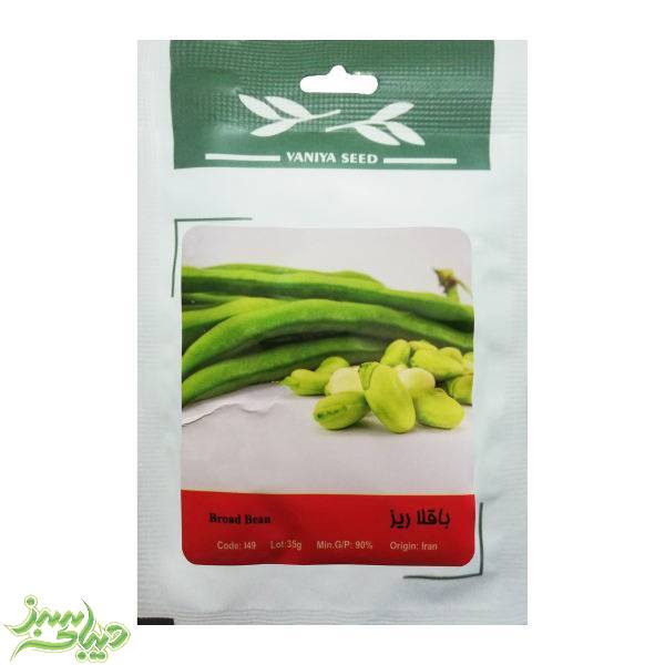 تصویر  بذر باقلا ریز