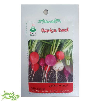 تصویر  بذر تربچه میکس