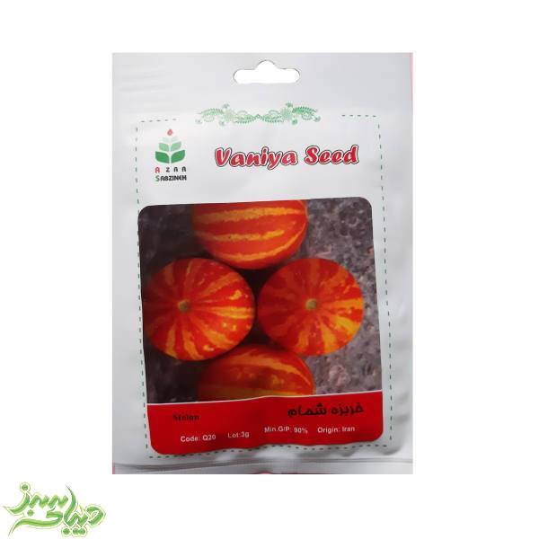 تصویر  بذر خربزه شمام