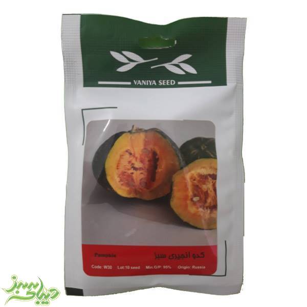 تصویر  بذر کدو انجیری سبز