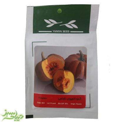 تصویر  بذر کدو انجیری نارنجی