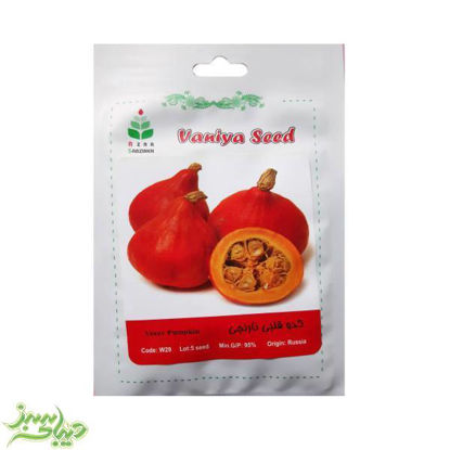 تصویر  بذر کدو قلبی نارنجی