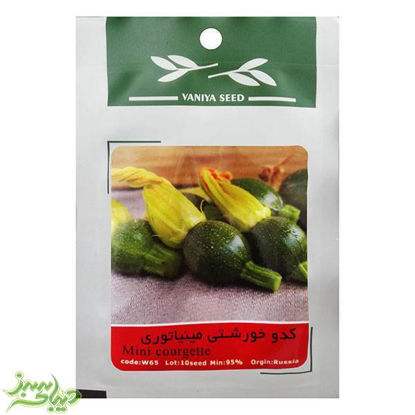 تصویر  بذر کدو خورشتی مینیاتوری