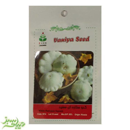 تصویر  بذر کدو ستاره ای سفید