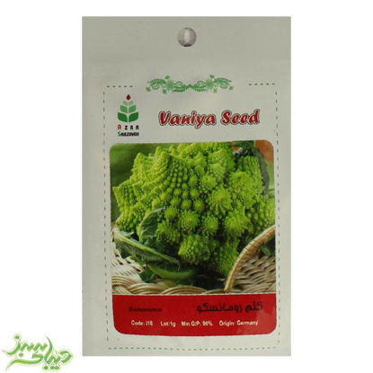 تصویر  بذر کلم رومانسکو