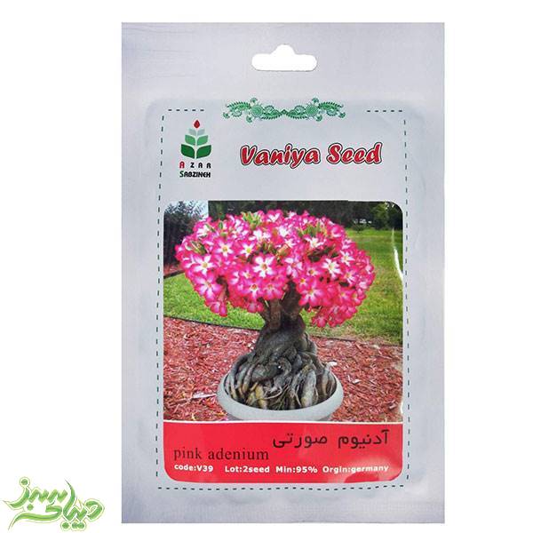 تصویر  بذر آدنیوم صورتی