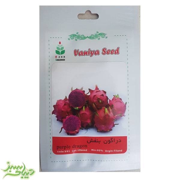 تصویر  بذر دراگون بنفش