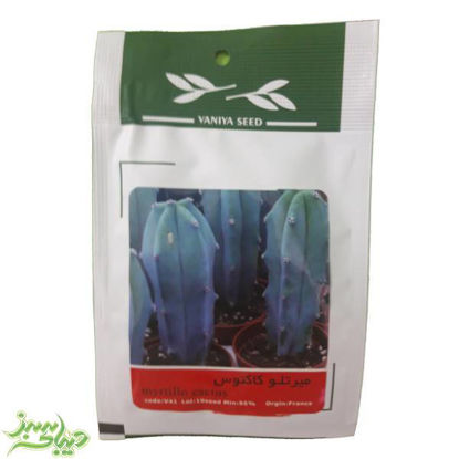 تصویر  بذر میرتلو کاکتوس