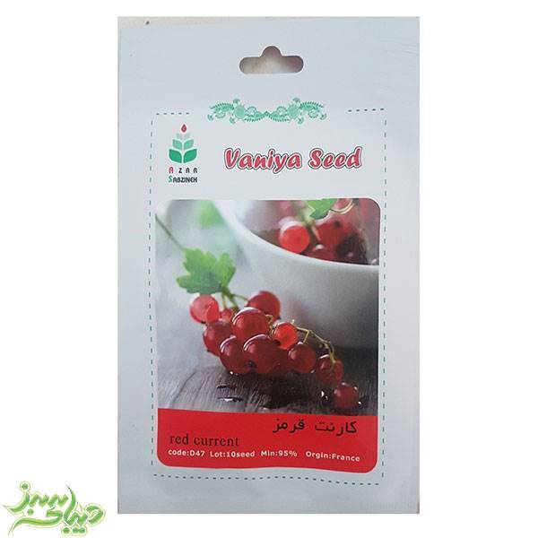 تصویر  بذر کارنت قرمز