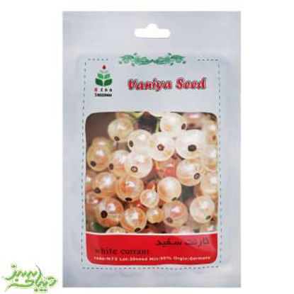 تصویر  بذر کارنت سفید