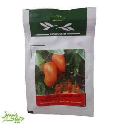 تصویر  بذر گوجه تخم مرغی نارنجی درختی