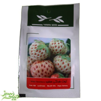 تصویر  بذر توت فرنگی سفید