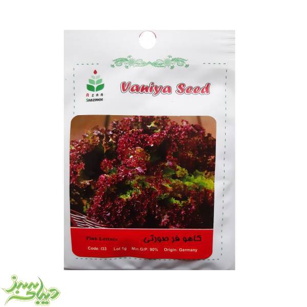 تصویر  بذر کاهو فر صورتی