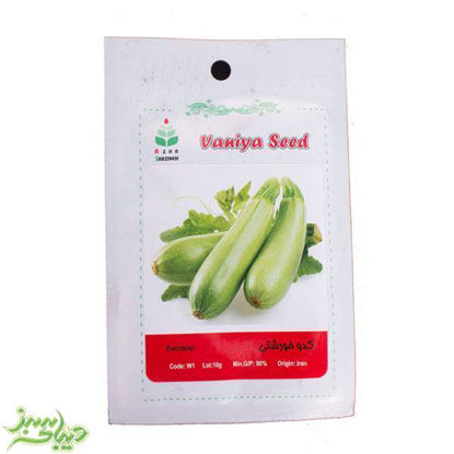 تصویر  بذر کدو خورشتی