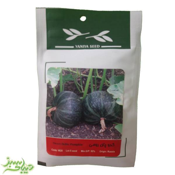 تصویر  بذر کدو پای رومی