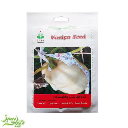 تصویر  بذر کدو خورشتی چارلیستون