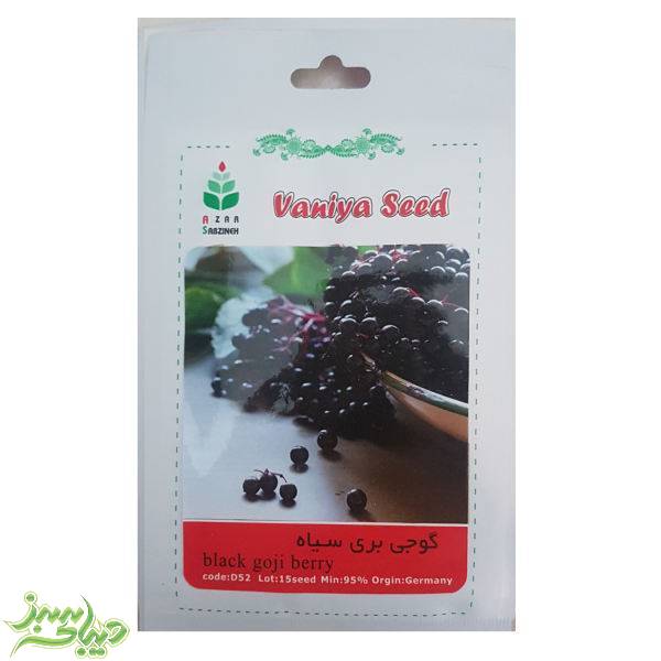 تصویر  بذر گوجه بری سیاه