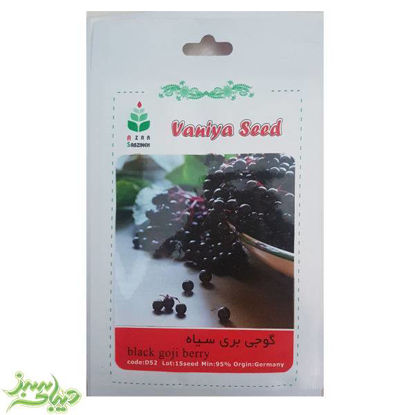 تصویر  بذر گوجه بری سیاه