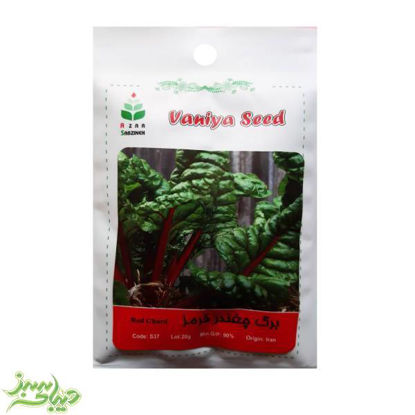 تصویر  بذر برگ چغندر قرمز