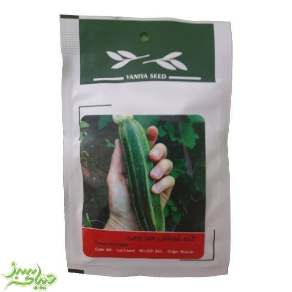 تصویر  بذر کدو خورشتی سبز رومی