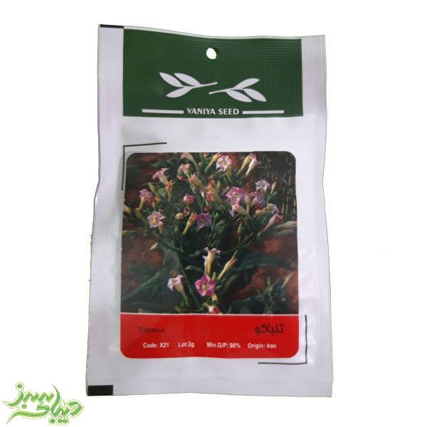 تصویر  بذر تنباکو