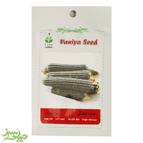 تصویر  بذر ذرت بنفش