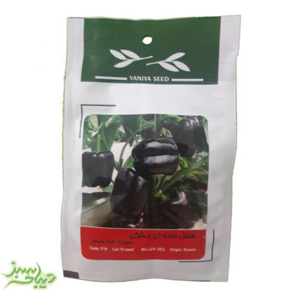 تصویر  بذر فلفل دلمه ای مشکی