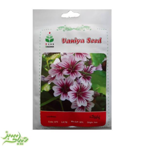 تصویر  بذر پنیرک