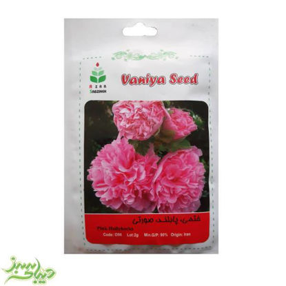 تصویر  بذر ختمی ، پابلند ، صورتی