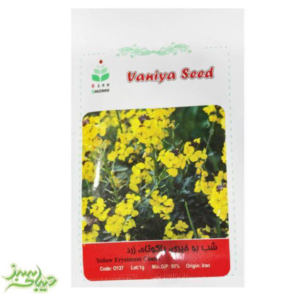 تصویر  بذر شب بو خیری ، پاکوتاه ، زرد