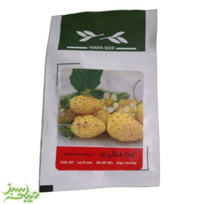 تصویر  بذر توت فرنگی زرد
