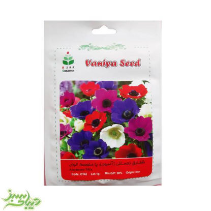 تصویر  بذر شقایق نعمانی (آنمون)، پامتوسط ، الوان