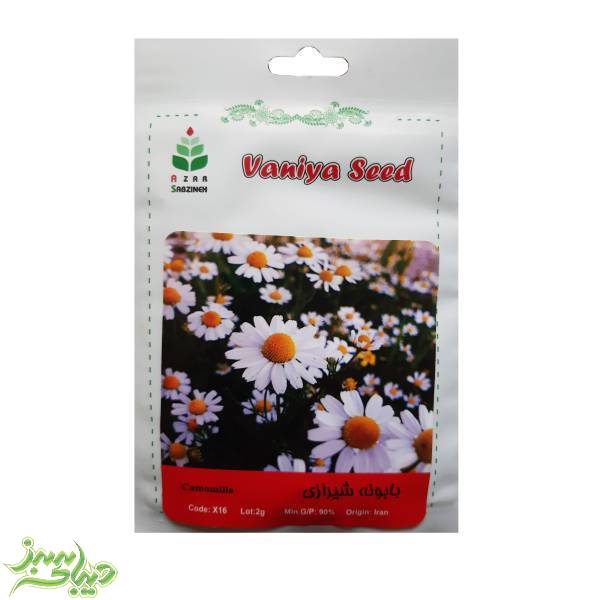 تصویر  بذر بابونه شیرازی