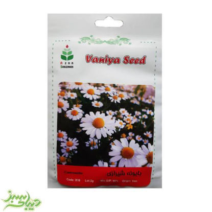 تصویر  بذر بابونه شیرازی