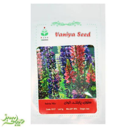 تصویر  بذر سلوی ، پاکوتاه ، قرمز