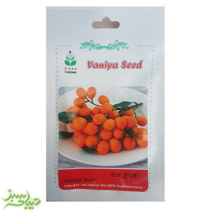تصویر  بذر اورنج بری