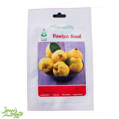 تصویر  بذر به