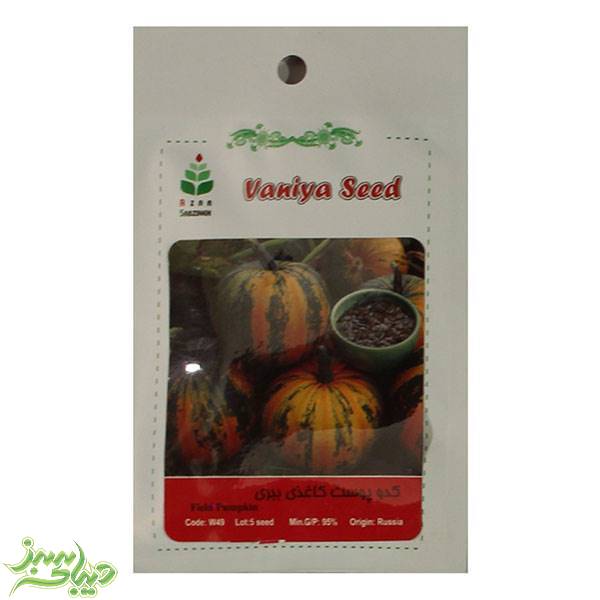 تصویر  بذر کدو پوست کاغذی ببری