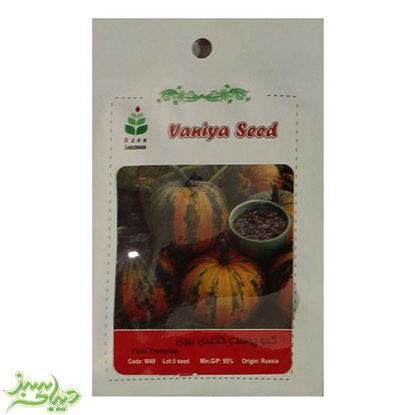 تصویر  بذر کدو پوست کاغذی ببری