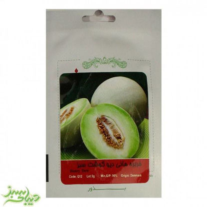 تصویر  بذر خربزه هانی دیو گوشت سبز