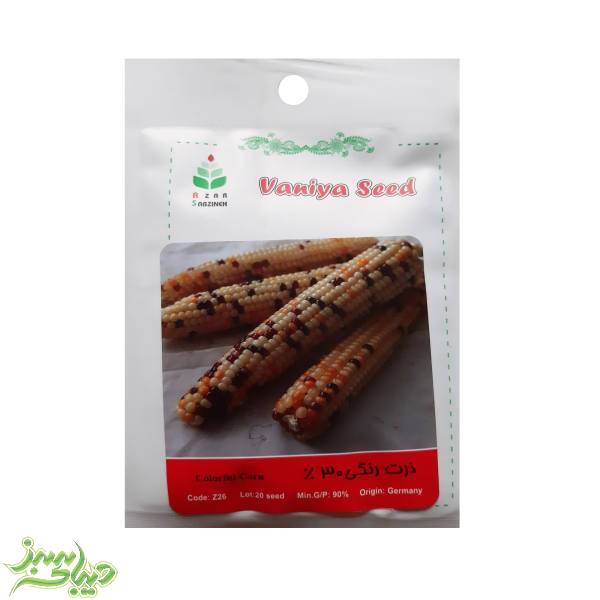 تصویر  بذر ذرت رنگی 30%