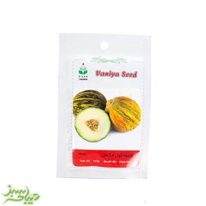 تصویر  بذر خربزه تیل مکسی