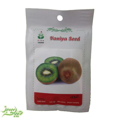 تصویر  بذر کیوی