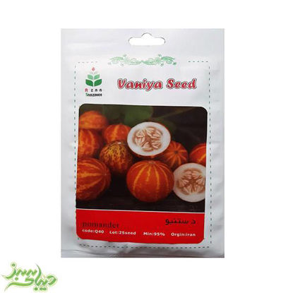 تصویر  بذر دستنبو